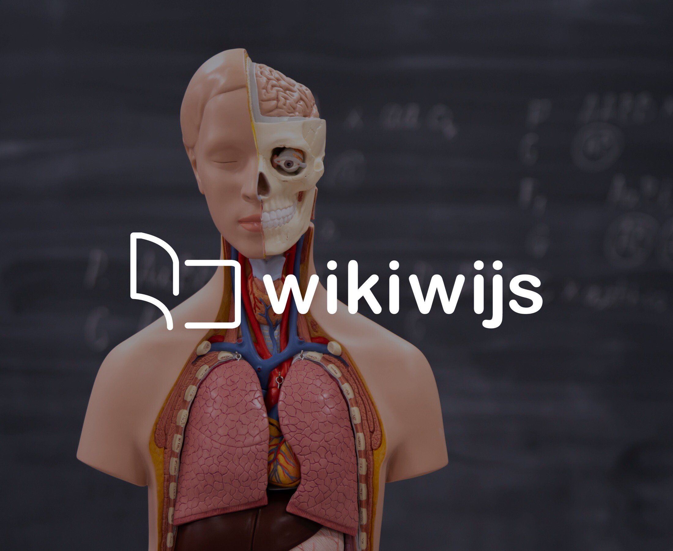 Wikiwijs_Banner